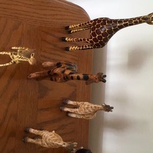 Meet your Posher, Carol